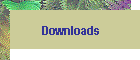 Downloads